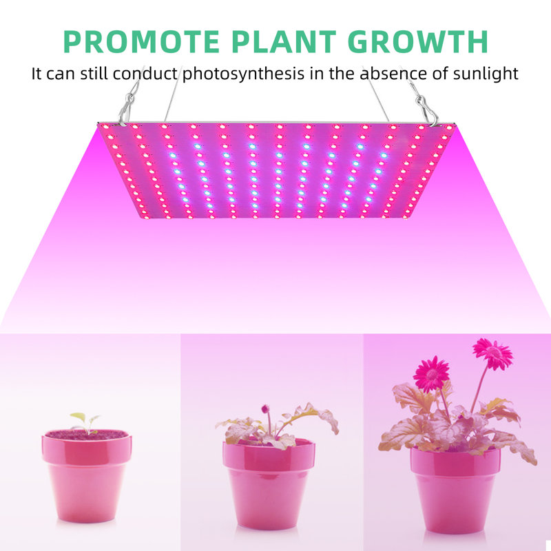 Low voltage grow lights outlet